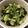はるとニモdaddy's cooksnap of when they made 鉄分補給★レンジで青梗菜と海苔のナムル.