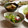 かっちゃん杉's cooksnap of when they made 超簡単！タコときゅうりだけの酢の物.