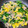 りくりくクッカー's cooksnap of when they made やわらかたまごの豚肉炒め★動画あり★.