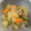 aozora＊'s cooksnap of when they made 炊飯器で★冬瓜とツナの煮物.