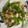 ココハナミコ☆'s cooksnap of when they made ＊豚コマとピーマンと椎茸の旨味醤油炒め＊.