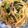 まりゆりひろこ's cooksnap of when they made バター醤油が◎ ツナと野菜の和風パスタ.