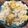 ☆atsuki☆'s cooksnap of when they made 簡単栗ご飯・栗の炊き込みご飯・3合.