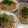 真理かあさん's cooksnap of when they made 納豆とネギのパスタ♡.