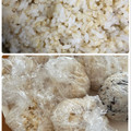 フジぽん's cooksnap of when they made 炊いたばかりのご飯を美味しく保存する方法.