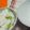 Iris77☆彡☆彡's cooksnap of when they made ❤枝豆ごはん❤　みんな大好きっ^^♪.