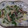 きらり流れ星's cooksnap of when they made 新玉ねぎと煮イカのマヨネーズ和え.