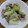 ﾍﾞﾋﾞよしﾏﾏ's cooksnap of when they made 材料2つ☆豚こまキャベツの簡単旨塩炒め。.
