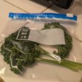 ダッフィーニーうに's cooksnap of when they made 【保存】パセリは茎ごと冷凍ストックが便利.