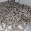 クックUU5PPV☆'s cooksnap of when they made 乾麺そばのゆで方(水浸けそば).