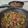 ｸﾏﾘｴ's cooksnap of when they made なすと挽肉のドライカレー.