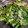 クック92HVSQ☆'s cooksnap of when they made ニラときのこの卵とじ.