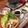 sktym0710's cooksnap of when they made もずくと豚肉のしゃぶしゃぶ.