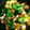 クック8VOIPT☆'s cooksnap of when they made たこのアヒージョ.