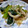 ★むさ's cooksnap of when they made ほうれん草ともやし達の胡麻和え♪.