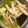 たんぽぽッ's cooksnap of when they made 冷凍蟹でカニ鍋♡お出汁が美味しい.