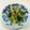 あっこ姉's cooksnap of when they made 春菊ともやしのナムル.