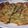 ★心★'s cooksnap of when they made 簡単♫たこ焼き粉でチヂミ.