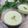 クックHG9V8Y☆'s cooksnap of when they made 　枝豆の冷製スープ♡簡単で美味しい.