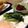 あず7225's cooksnap of when they made ツルムラサキの塩昆布炒め.