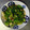 mi_co22's cooksnap of when they made ほっこり和惣菜★小松菜としめじの煮浸し.