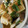 あゆたっくん's cooksnap of when they made ニラの卵とじ.
