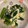 クック4S1NRW☆'s cooksnap of when they made 晩御飯に是非♬ 小松菜と卵の中華炒め.