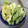 mamaRD's cooksnap of when they made たらの芽の天ぷら.