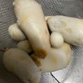HarJCQ8B0☆'s cooksnap of when they made 里芋スルッと皮むき（茹で）.