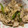 クック051444☆'s cooksnap of when they made ☆肉野菜炒め☆.