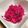 Ricena's cooksnap of when they made 彩り最高⤴紫キャベツラペ(๑´`๑)♡.