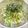 あっこ姉's cooksnap of when they made カルシウムたっぷり大根サラダ.