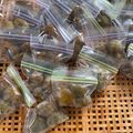 tatchiママ's cooksnap of when they made 梅ジュースの梅の再利用【スッパイマン風】.