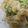 meena*meena's cooksnap of when they made 簡単☆レンジでポテトサラダ.