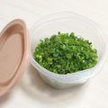 ぱふ♪'s cooksnap of when they made いつでもネギ.