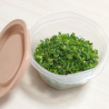 ぱふ♪'s cooksnap of when they made いつでもネギ.