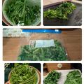 ダッフィーニーうに's cooksnap of when they made 絶対捨てちゃダメ！大根の葉の下ごしらえ！.
