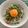 関口浩二's cooksnap of when they made 高たんぱく！ツナたま丼.