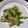 クックHIYL6I☆'s cooksnap of when they made きゅうりとツナの和え物.
