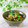 Satoco❋'s cooksnap of when they made ほうれん草の納豆和え.