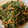 クック8VOGCZ☆'s cooksnap of when they made 簡単！ピーマンと人参の胡麻和え.