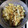 石川万由美's cooksnap of when they made さつまいもとりんごの甘煮.