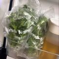 ※ぴーまん's cooksnap of when they made 春菊の保存方法.