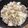 ママメイン！時々子供's cooksnap of when they made ダイエット中にも！豚バラのキャベツもやし.