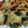 ★むさ's cooksnap of when they made お野菜と納豆オープンオムレツ.