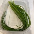 四谷わかば's cooksnap of when they made ニラの保存方法♪.