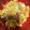 7s2flav's cooksnap of when they made さつまいもとクリチのデリ風サラダ.