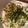 たてえり。's cooksnap of when they made 豚肉と玉ねぎの甘辛冷やしぶっかけうどん.
