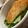 MULA's cooksnap of when they made ＊白身魚（アイナメ）のムニエル＊.