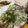クックJIWXC7☆'s cooksnap of when they made いくらでも食べられる天ぷら（衣サクサク）.